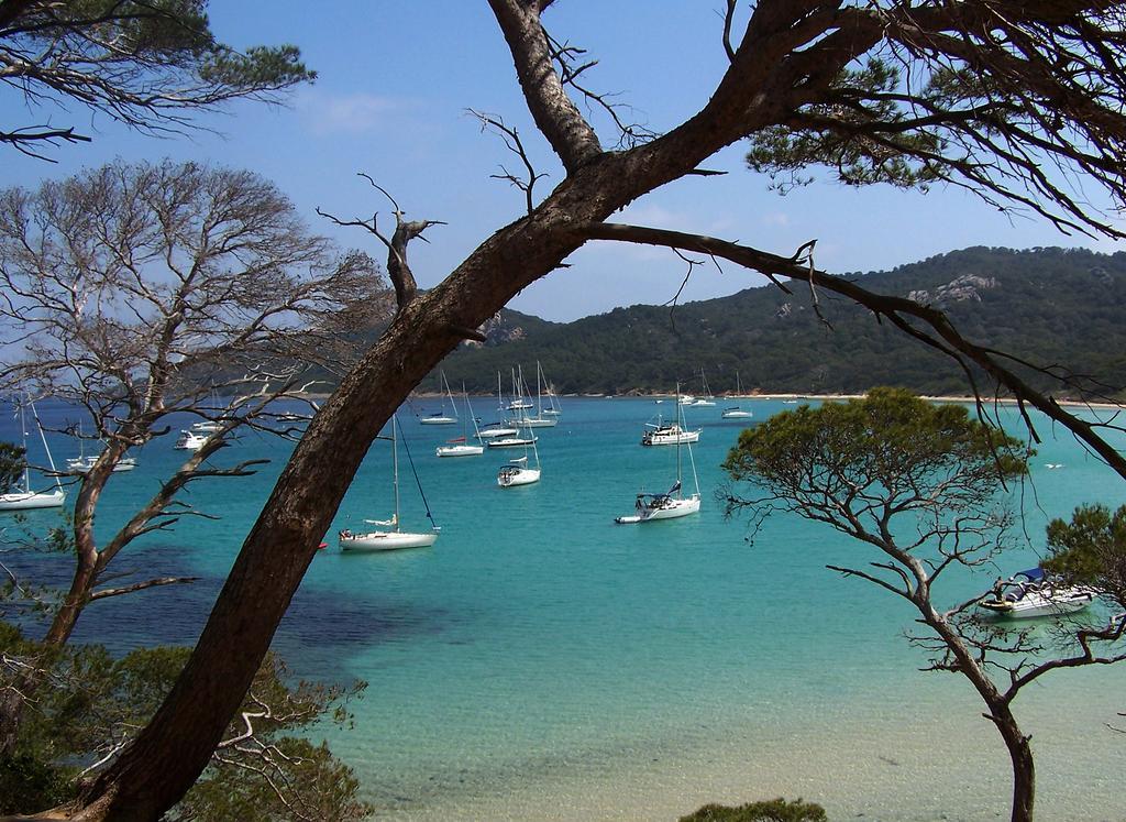 Le Cube Hotel Design A Hyeres Plage Avec Piscine Et Cuisine 외부 사진